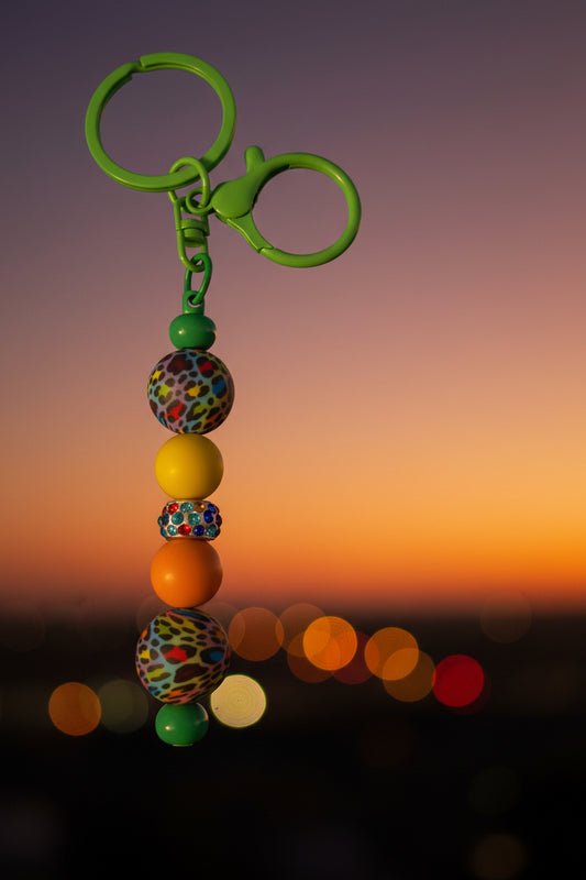 Rainbow Cheetah